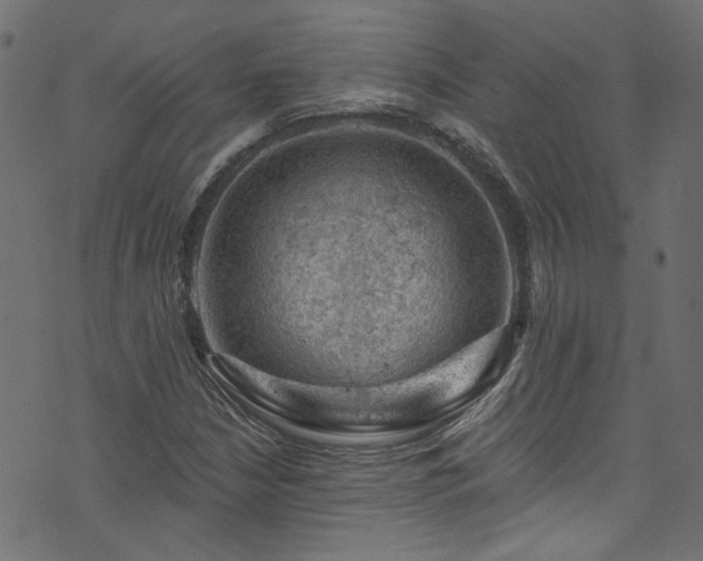 X0000074041210200608281436