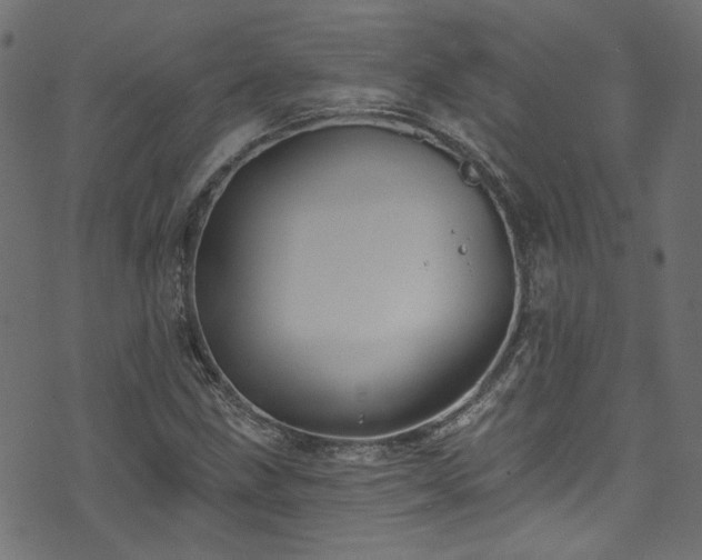 X0000074041211200608281436