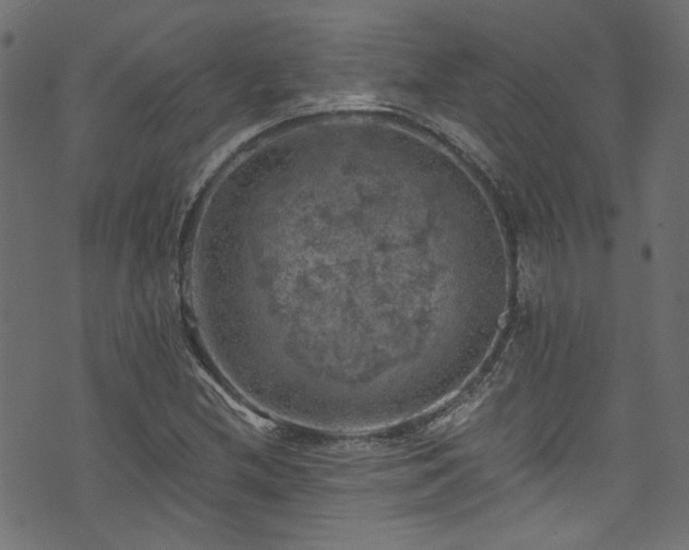 X0000074041212200608281436