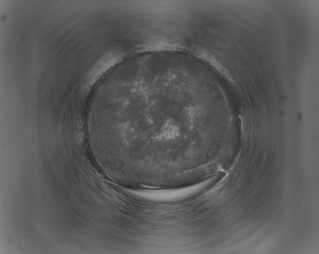 X0000074041213200608281436