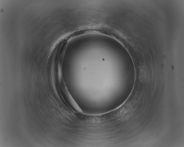 X0000074041214200608281436