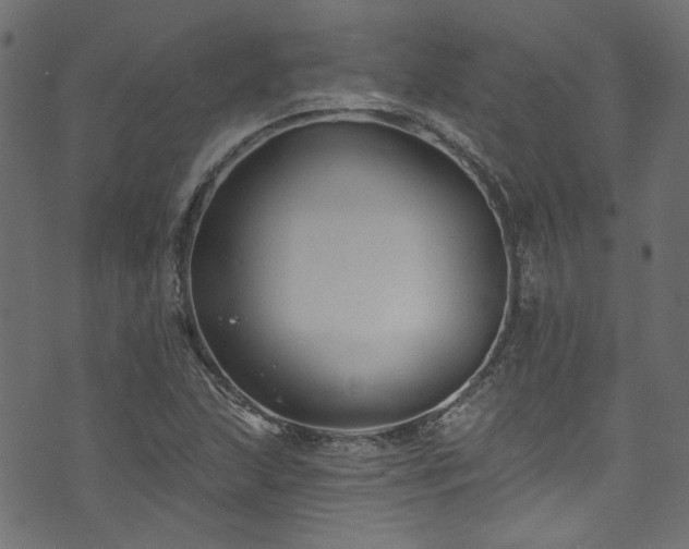 X0000074041215200608281436