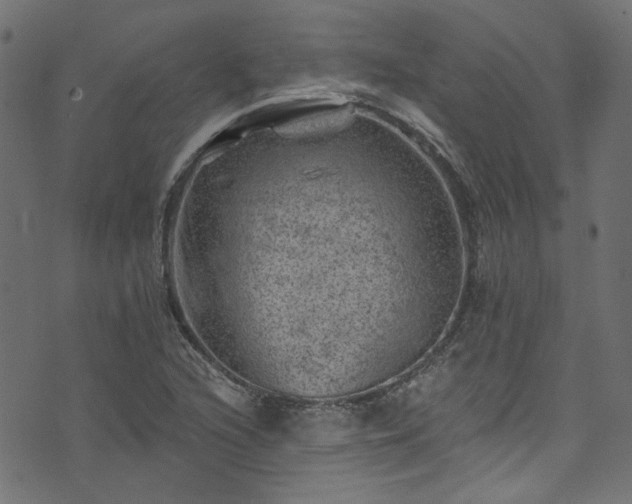 X0000074041216200608281436