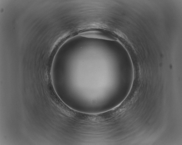 X0000074041218200608281436