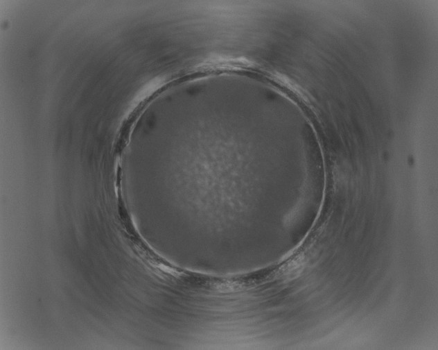 X0000074041219200608281436