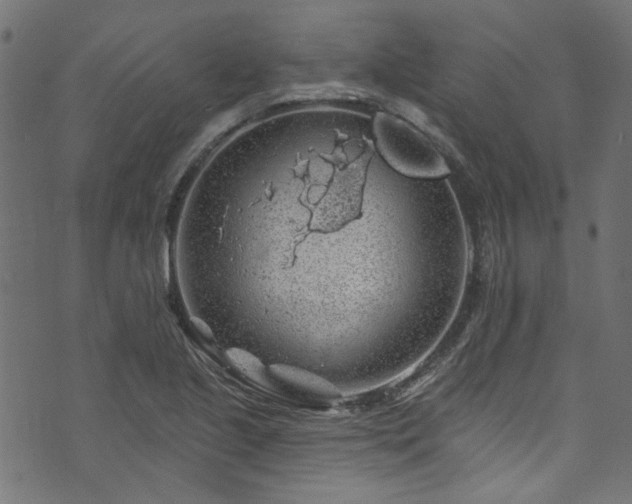 X0000074041221200608281436