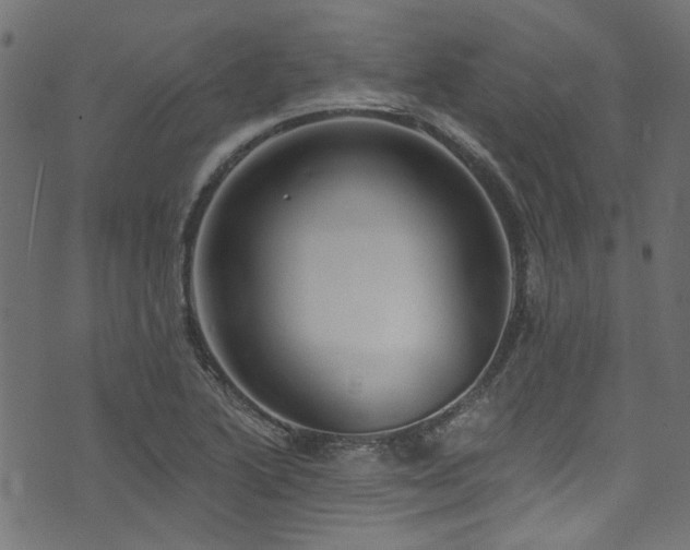 X0000074041222200608281436