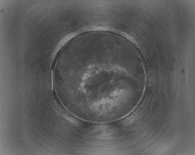 X0000074041223200608281436