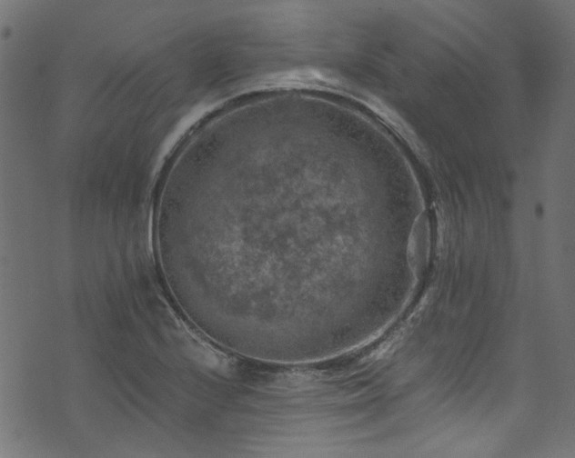 X0000074041224200608281436