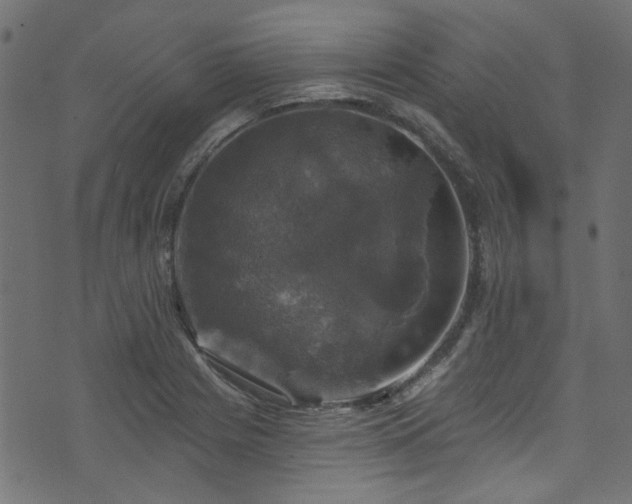 X0000074041225200608281436