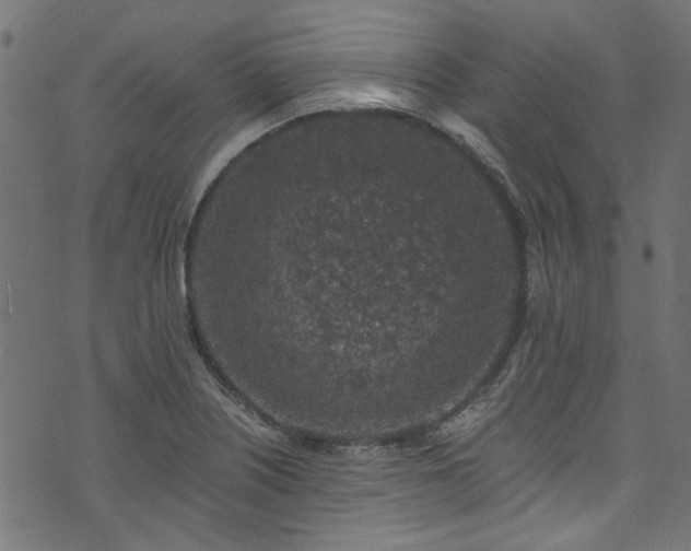 X0000074041226200608281436