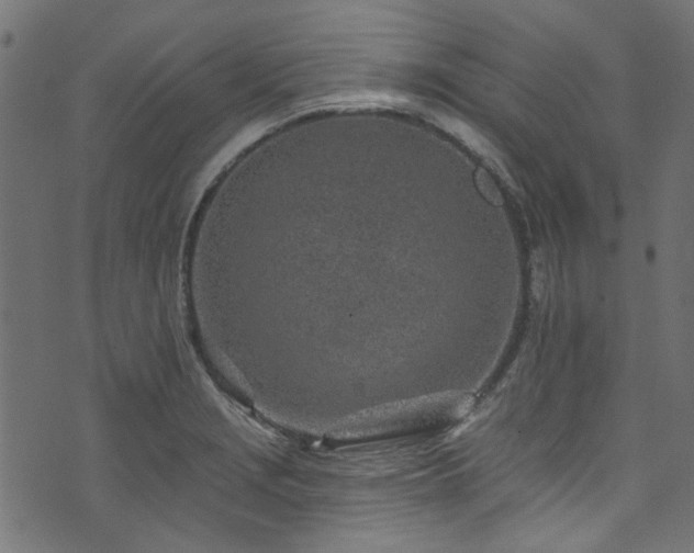 X0000074041229200608281436