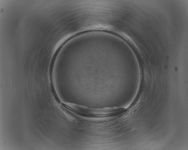 X0000074041230200608281436