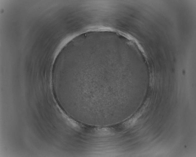 X0000074041231200608281436