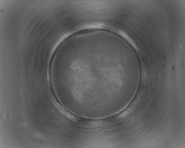 X0000074041232200608281436