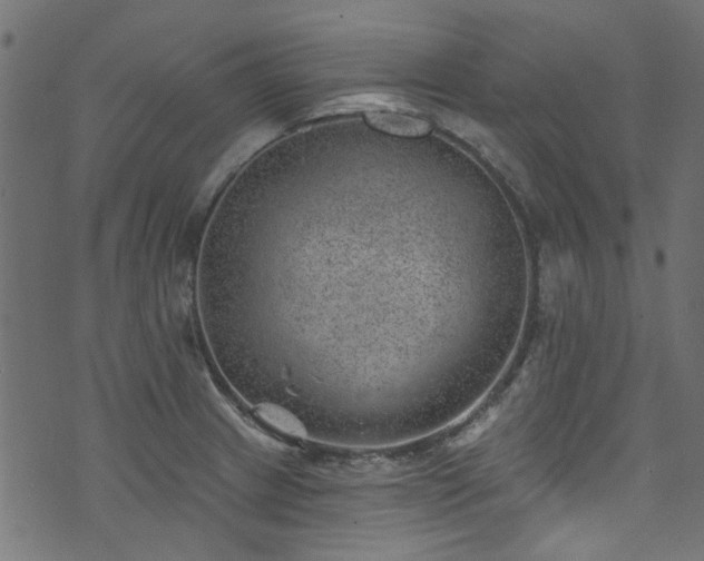 X0000074041233200608281436