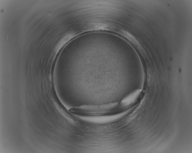 X0000074041234200608281436