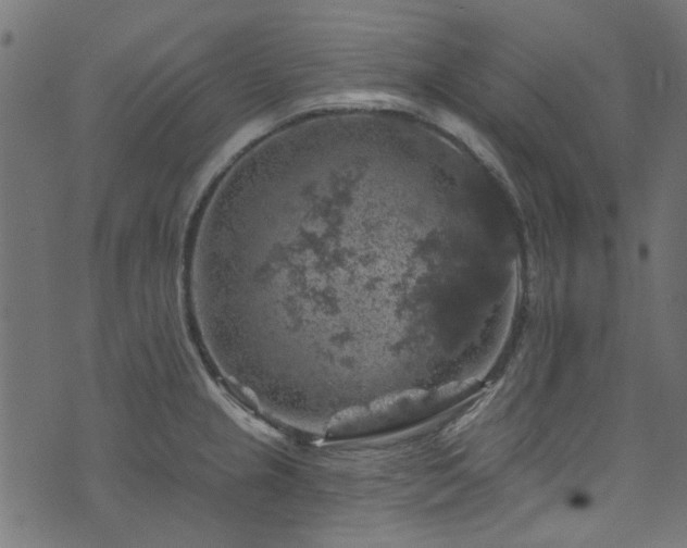 X0000074041237200608281436