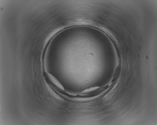 X0000074041238200608281437