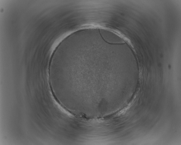 X0000074041239200608281437