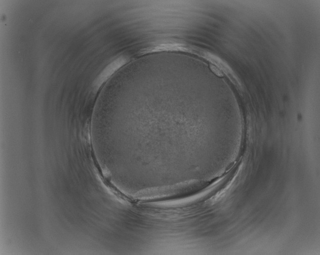 X0000074041241200608281437