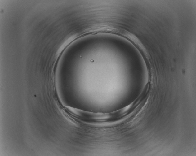 X0000074041242200608281437