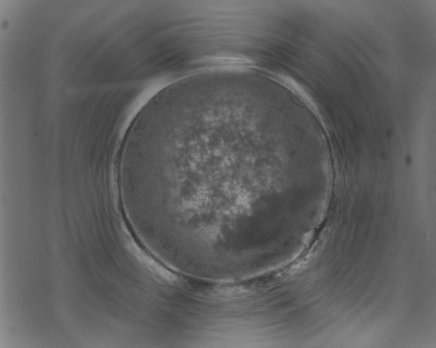 X0000074041243200608281437