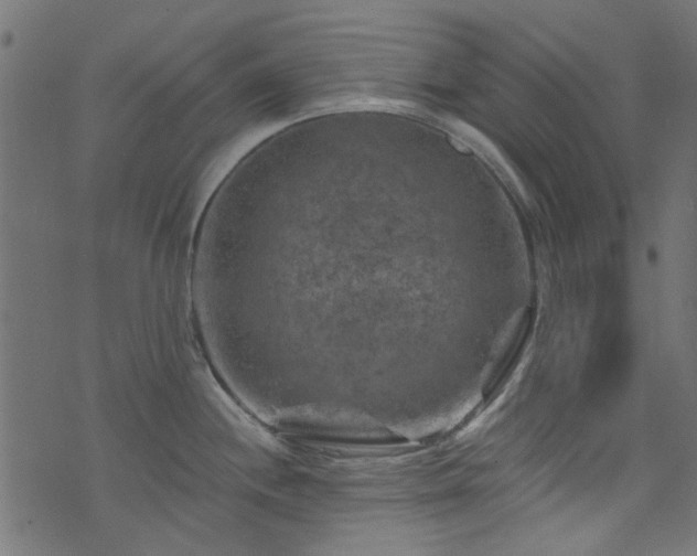 X0000074041244200608281437