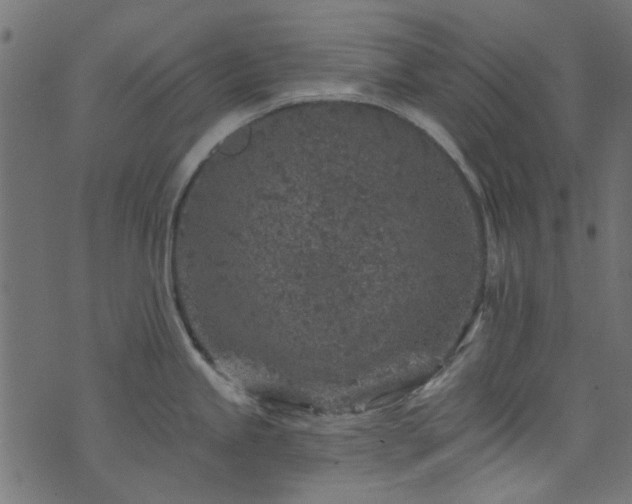 X0000074041245200608281437