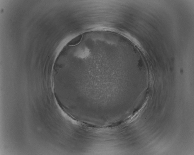 X0000074041247200608281437