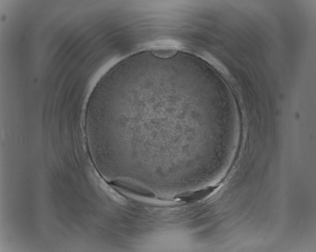 X0000074041248200608281437