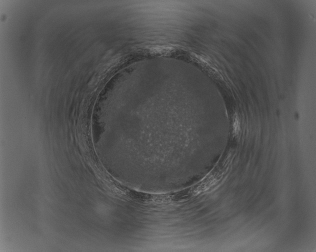 X0000074041249200608281436