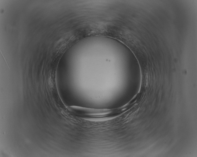 X0000074041250200608281436