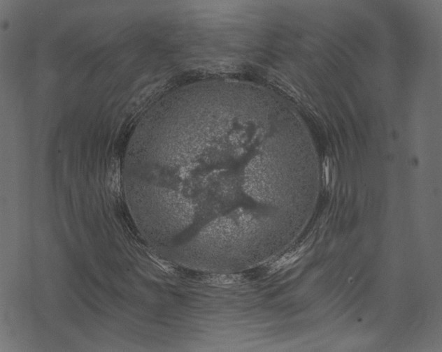 X0000074041251200608281436