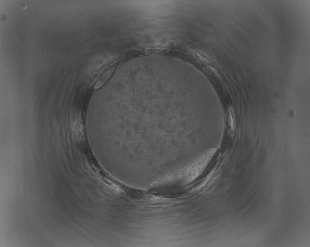 X0000074041252200608281436