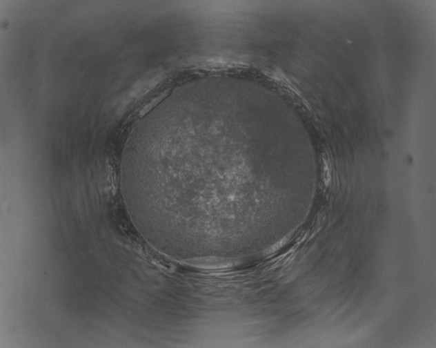 X0000074041253200608281436