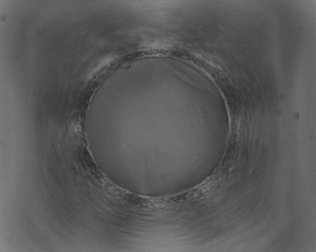 X0000074041254200608281436