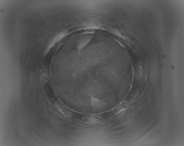 X0000074041255200608281436