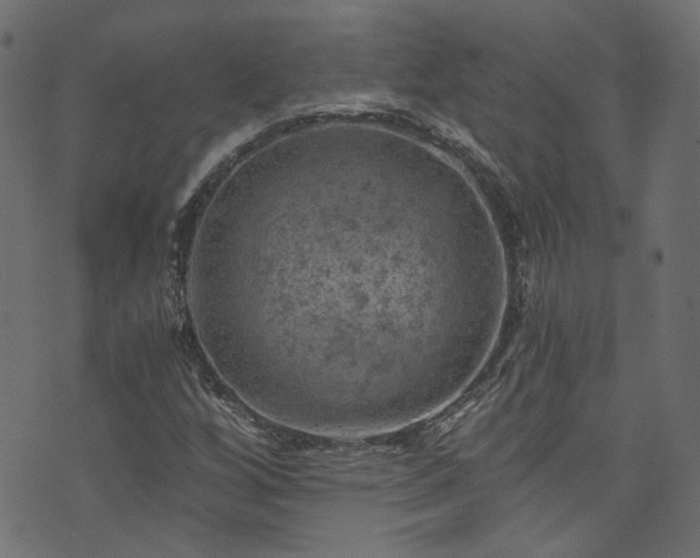 X0000074041256200608281436