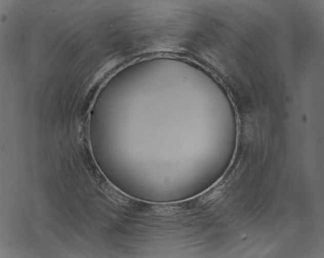 X0000074041258200608281436