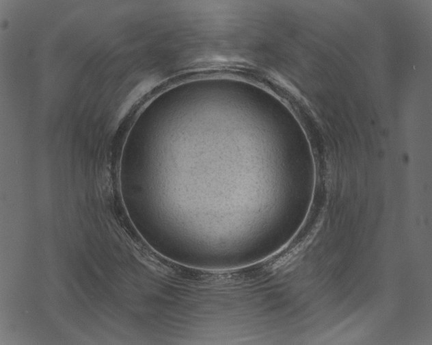 X0000074041259200608281436