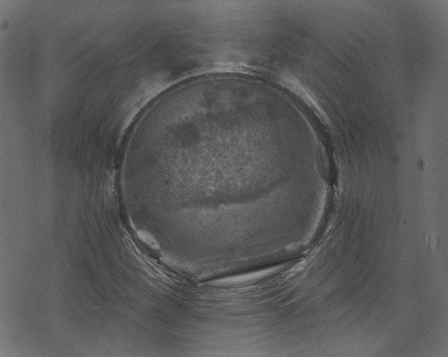 X0000074041260200608281436