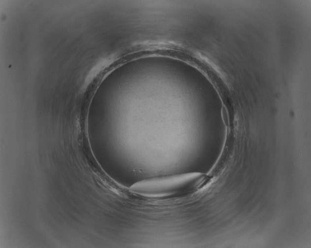 X0000074041261200608281436