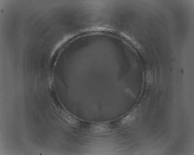 X0000074041262200608281436