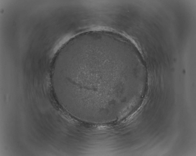 X0000074041263200608281436