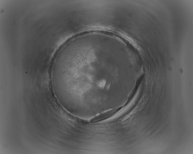 X0000074041264200608281436