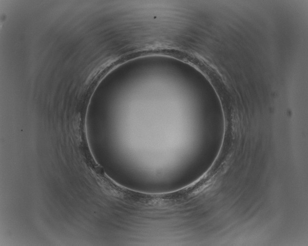 X0000074041265200608281436