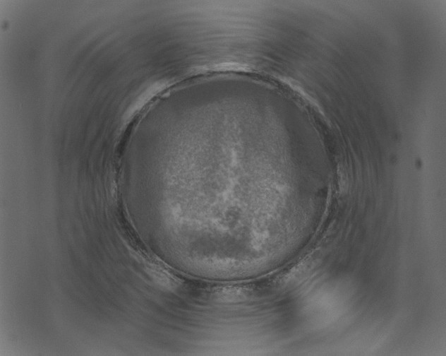 X0000074041266200608281436