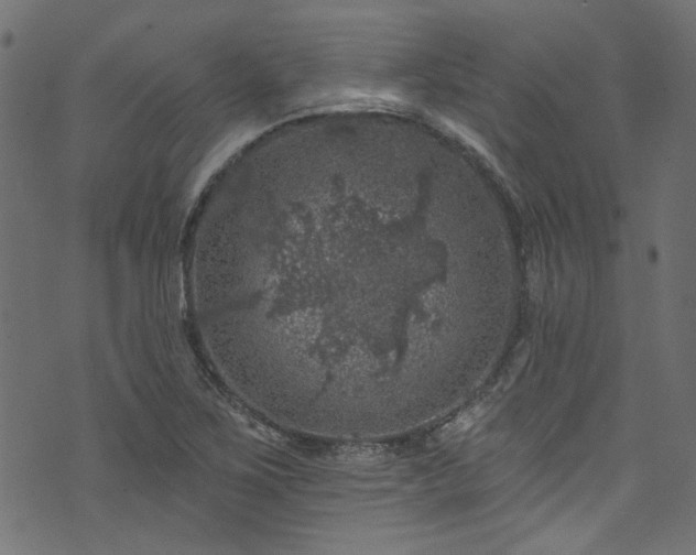 X0000074041267200608281436