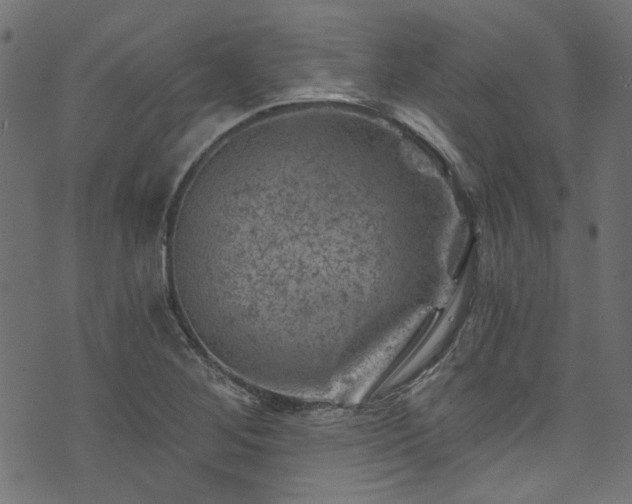 X0000074041268200608281436